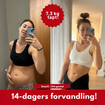 Avora - Korean Diet Cutting Jelly